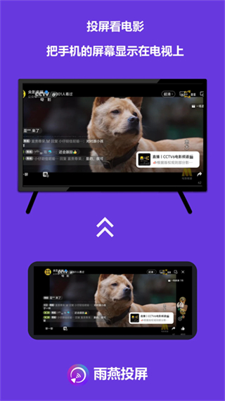 雨燕投屏 v6.1.17.9 0